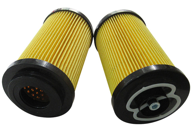 MF1002P10NBP01